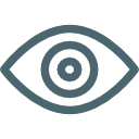 VISION